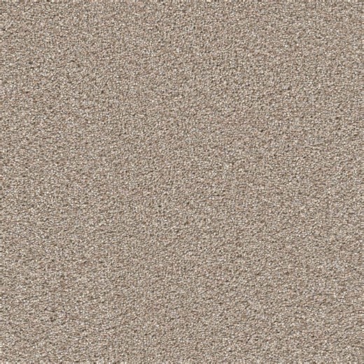 Reviews for Home Decorators Collection Perfected I - Fabulous - Gray 40 oz. SD Polyester Texture Carpet - Installation Required | Pg 2 - The Home Depot
