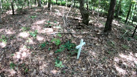 Huge slave cemetery found in the woods — but the names are gone