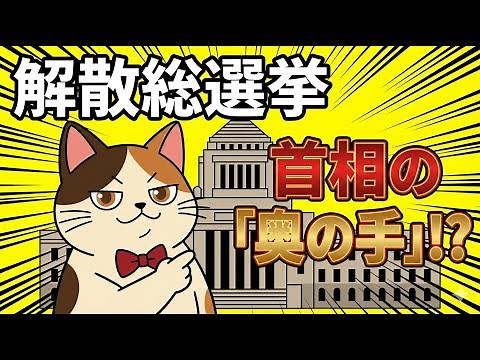 【解散総選挙とは？】いつある？仕組みと流れをわかりやすく解説！