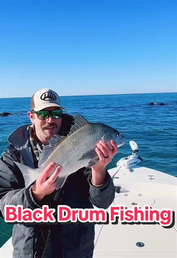 Black Drum Fishing Made Easy: Tips for Success