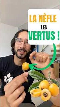 NÈFLE LES VERTUS ! #santé #fruit #remedy