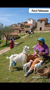La technologie que pensez-vous vous ? Un tableau transformé en vidéo visuelle ? | Actualités Tigzirt