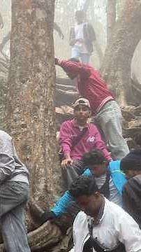 Cockroach in rice 🥲🪳