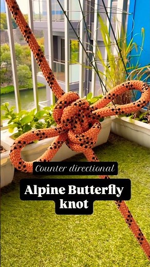 Counter directional Alpine Butterfly knot #knotting #climbingknot #outdoors #knot #knottutorial