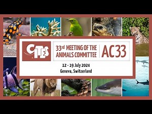 33rd Meeting of the CITES Animals Committee - Morning (18 July)