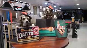 14K views · 82 reactions | United Pool Tables on Reels | Facebook