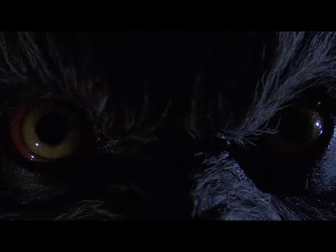 The Werewolf at the Threshold | Short Film