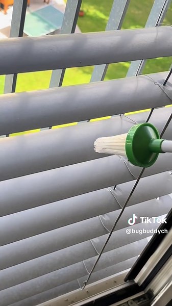 Bug Buddy: Your Insect Catching Superhero