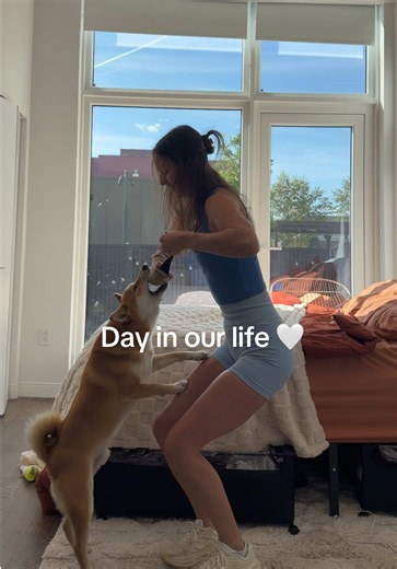 Dog Mom Work Stretch Routine: Day 3 Summary with My Shiba Inu
