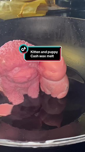 Discover the Hidden Cash in Kitten and Puppy Cash Wax Melts
