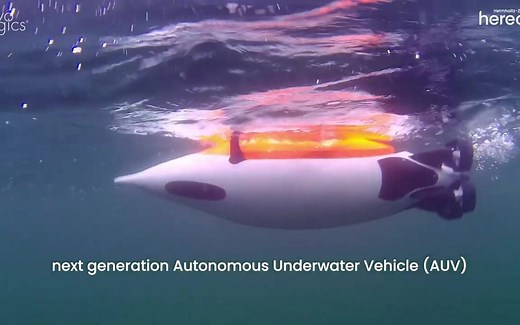 用于环境监测的下一代仿生自主水下航行器 (AUV)