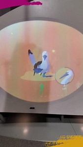 POV: You're performing an animal mating dance in our Life! Beginnings exhibit.  Enjoy fun, hands-on science interactives and discover life's incredible ability to make more life. Life! Beginnings is included with free general admission! | California Science Center | Facebook