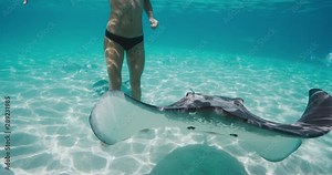 Underwater shot of attractive fit woman swimming with stingrays and fish in blue ocean water