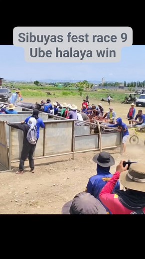 8.2K views · 59 reactions | Bongabon Sibuyas festival karera ng kalabaw race 9, Ube halaya win | Buhay Karera JRTV | Facebook
