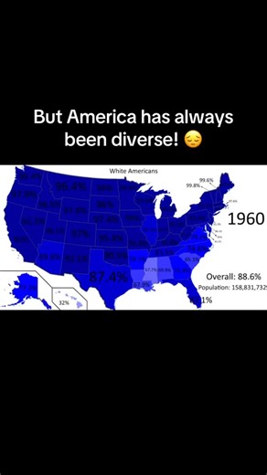 Europe’s World | The United States has always been a White country. It is turning brown because of corruption and cultural marxism. North America is being... | Instagram