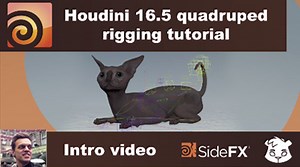 CAT QUAD-RIGGING - INTRO