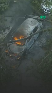 1.3K reactions · 103 comments | Chopper 3 flew all over the #Philadelphia region on Friday morning after storms with damaging winds moved through Thursday night. The winds toppled trees and power lines and damaged the roofs at a local radio station and apartment building. Several roads are blocked due to either downed trees or utility crews working to restore electricity. #PAwx #reels | CBS Philadelphia | Facebook