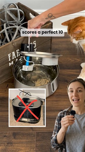 KittySpout on Instagram: "Check out the cat fountain that's silent, super easy to clean, prevents feline acne, and only needs to be recharged every 3 months!"
