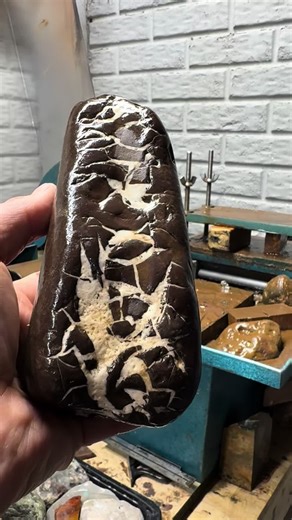 Exploring Rocks and Minerals: Cutting for Surprises