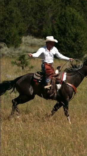 Galloping Horses: The Kids' Song 🐴