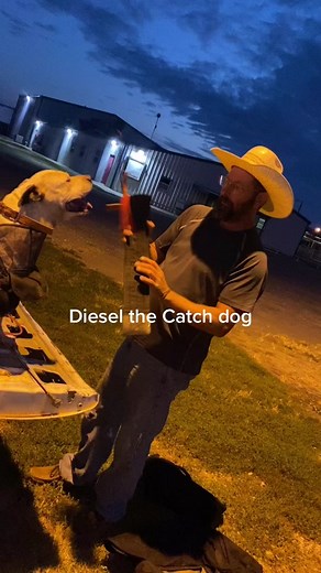 Lance Werth (@lancewerth)’s videos with original sound - Lance Werth