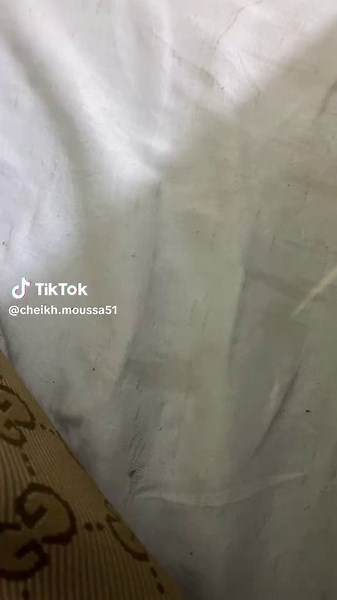 Vidéos de Sheikh Mouhamed Moussa (@cheikh.moussa51) avec son original - Sheikh Mouhamed Moussa