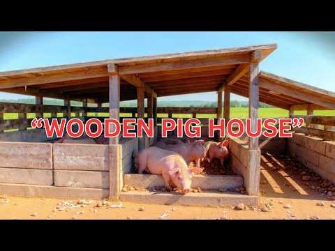 STOP Wasting Money! How to Build a Strong Pig House with Wood