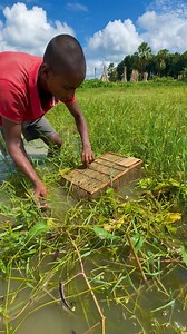 16K views · 228 reactions | Amazing fishing by primitive tools | Fishing & Village Tradition | Facebook