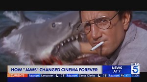 "Jaws" Turns 50: How Steven Spielberg's iconic shark changed cinema forever