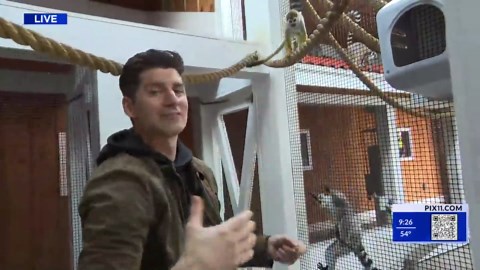 Ben Aaron tours White Post Farms