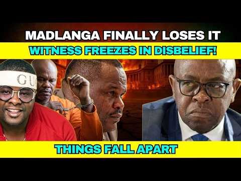 Madlanga FINALLY Loses It — Witness FREEZES in DISBELIEF!