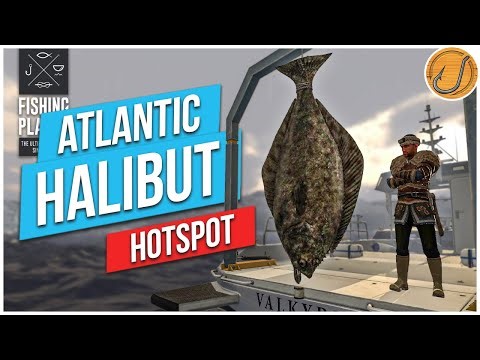 My Atlantic Halibut Hotspot! | Fishing Planet (Skårland Fjord, Norway)
