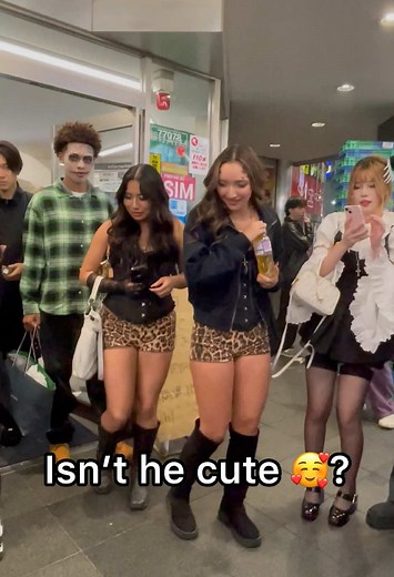 Adorable Shibuya Japan Dog Compilation | Funny Tokyo Moments