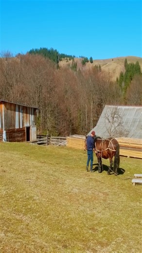 Mountain Cabin Cooking | Peaceful Life in Nature.😍🍃🌳🪵 | Country Food