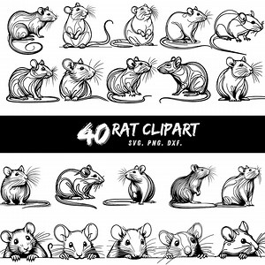 40 Rat Clipart Bundle, Rat SVG PNG DXF, Cute Mouse Vector, Digital Rat Illustration, Cricut Sublimation Files, Printable Rat Design - Etsy UK