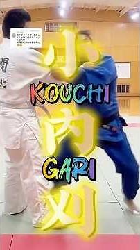 【✅リクエストの小内刈り解説です‼️慣れてきたら高速小内へ🛩️】High-speed kouchigari📍 #sports