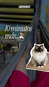 Coderhouse on Instagram: "⌛10, 15, 50 minutos más 🫢🙃"