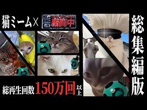 映画『猫ミーム戦闘中』総集編版【猫ミームアニメ】