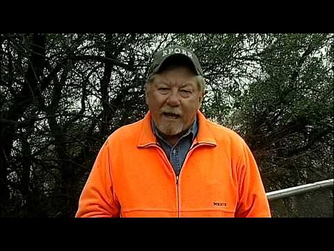 Quail Posts - Sounds A Quail Makes - Texas Wildlife Association