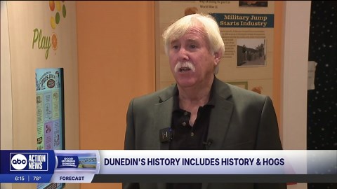 Dunedin History Museum gives a unique look into city's past