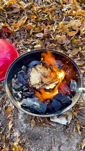 The Most Efficient Way to Remove a Tree Stump