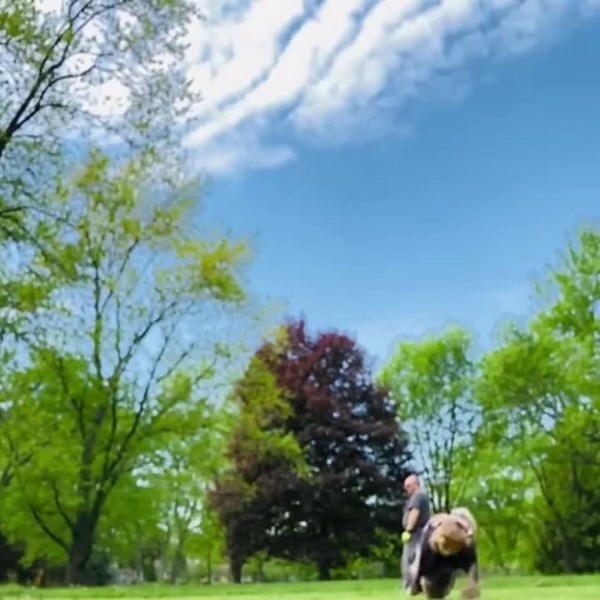 Faltou so o Mikey de(#tokyorevengers)#gojo #sukuna #sonic #kratos #spiderman #powerrangersamurai #ben10