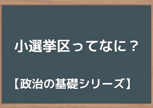 小選挙区制？比例代表制？大選挙区制？選挙に行く前に知っておきたい基礎知識