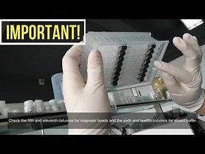 32 Magnetic Bead Method Nucleic Acid Extraction System