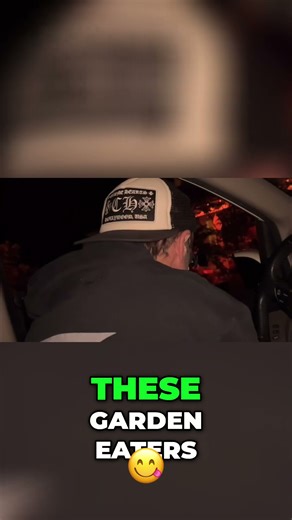 Eliminating Garden Pests for a Peaceful Yard