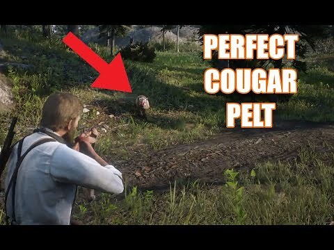 Red Dead Redemption 2 - Perfect Cougar Pelt Location