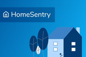 HomeSentry