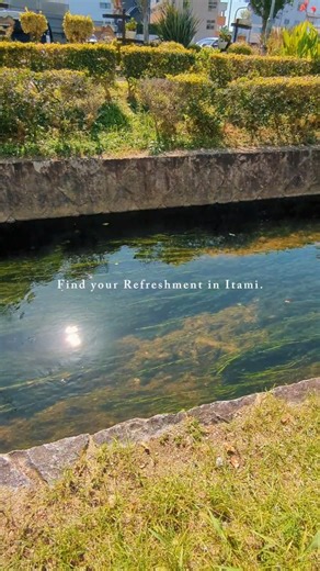 伊丹FUN【ITAMI FUN】～非公式シティプロモーション〜 on Instagram: "街なかの緑と水辺で、ちょっとリフレッシュ🏞️✨️ ​伊丹は、海がなくても街のすぐそばに こういう水辺や緑があって、 気軽にリフレッシュできるのが良いですよね。 ​みなさんの「伊丹のお気に入りリフレッシュスポット」はどこですか？ 「ここでホッと一息つく」という場所があれば、 ぜひコメントで教えてください🙌 ​@itami.funで他にも伊丹の風景や日常などを投稿しています いつも「いいね」ありがとうございます🙇 いいねやコメントが投稿のモチベーションに繋がっています🙌 ​#itamidiary #伊丹さんぽ #伊丹 #伊丹市 #兵庫県 #伊丹の風景 #水辺の風景 #緑のある暮らし #リフレッシュ #お気に入りの場所 #瑞ヶ池公園 #昆陽寺 #瑞ヶ池"