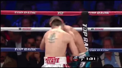 Brandon Rios vs Alvarado TKO Highlights