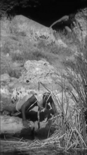 The Iconic Tarzan Moment #shorts